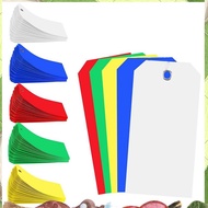 500 Pieces 4 3/4Inch X 2 3/8Inch Plastic Shipping Tags Colorful Blank Labeling Tags Waterproof Hang 