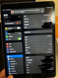 ipad pro 10.5 256gb 冇保淨機