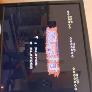 ghost and ghoul NES game