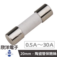 20mm250V Heat-Resistant Ceramic Tube Fuse 0.5A/1A/2A/2.5A/3A/3.15A/4A/5A/6A/6.3A/7A/8A