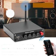 【藍芽擴大機】SUCA Audio M-503C 2.1声道HIFI擴音機 USB