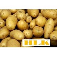 Ubi Kentang / Potato - 1kg