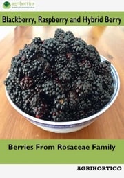 Blackberry, Raspberry and Hybrid Berry: Berries from Rosaceae Family Agrihortico