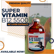 SUPER VITAMIN B12 5500MCG Vitamin b12 + B12 for Roosters Gamefowl, Pigeons, etc. Condition ng manok
