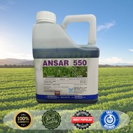 ANSAR 550 4L A.I:MSMA 35.5% ANCOM RACUN RUMPUT SENTUHAN