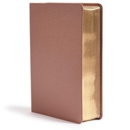 CSB SHE READS TRUTH BIBLE, Rose Gold LeatherTouch/Hardcover, Full-Color Design Wide Margins