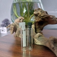 botol parfum penicilin 2ml/botol tester lidi/tutup putih/hitam (1 lusin)