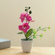 Dopamine Stimulation Butterfly Orchid Artificial Potted Orchid Simple Home Tabletop Decor