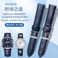 Suitable for Citizen Citizen Eco-Drive EX1480 BM7140 CA4031 Blue Genuine Leather Watch Strap 22mm