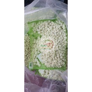 Sứ mini ring mountain tree cho hồ cá