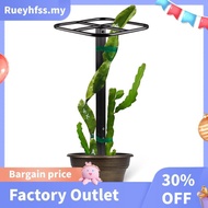 Excellent Premium Dragon Fruit Trellis Durables Metal Trellis for Vertical Gardening and Climbing Pl