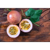 Passion Fruit Fresh *1kg