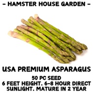 HSK [50pc] USA PREMIUM ASPARAGUS SEED | BIJI BENIH SAYUR