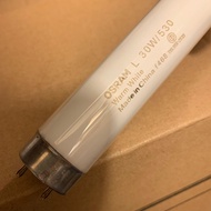Osram L T8 30w 530 warm white 黃光 3呎 36inch 光管