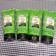 Herbal Essences Potent Aloe&amp;Bamboo Conditioner 350ml เฮอร์บัล เอสเซนส์ ครีมนวดผมสูตรว่านห่างจระเข้และไผ่