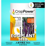 (10 GRAM) Biji Benih Terung Panjang Purple Treasure 传家宝 EG1 CROP POWER F1 Hybrid Long Eggplant Seeds
