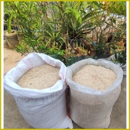 ✻ ◆ ✧ 5 kilos Fine Saw Dust Kust for Plant Substrate / Alternative for Cat Litter