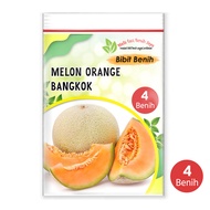 4 biji Benih buah melon orange bangkok - bibit melon orange