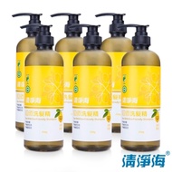 清淨海 檸檬系列環保洗髮精 750g(超值6入組)