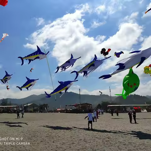 9KM 7m Marlin Fish KiteLine Laundry for Adults High Quality Soft Inflatable Outdoor Animal Show Kite