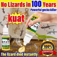 lizard killer bait 1 drop kills all lizards! lizard killer UMPAN GEL CICAK Prevention & Trapping Cha