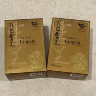 包順豐 維特健靈五色靈芝 60粒裝