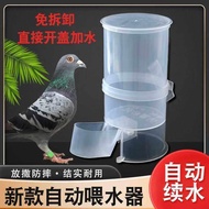 Pigeon Bird Drinking Fountain Believe Pigeon Utensils Automatic Water Bottle Parrot Feeding Water Cu