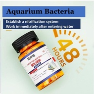 Aquarium Nitrifying bacteria special capsule water purification live bacteria dry powder fish aquarium fish medicine fis