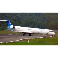 DIY Papercraft garuda crj1000