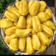 buah nangka kupas 1,2kg