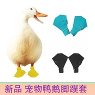 Pet Duck Kool Duck Feet Shoeandbagstore20251004