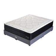 Auzzie Slzzp Odyssey 12 Inch Mattress Aussie Sleep - Queen / King