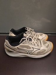 Mizuno volleyball shoes 排球鞋