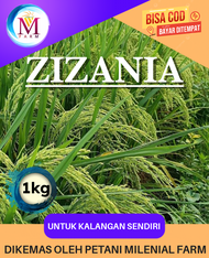 BENIH BIBIT PADI ZIZANIA KEMASAN 1KG