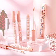 Concealer, domestic concealer F17 - Sammi beauty