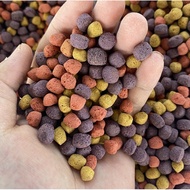 อาหารเต่าบก ทดลอง ให้เยอะไม่ให้น้อย Macfn Mazuri Rep-cal มาซูริ อาหารเต่าซูลคาต้า