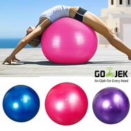 Yoga ball/Gym ball/Fitness Gym 65CM y014