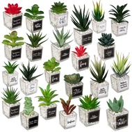 🚓Mini Succulent Artificial Pot Combination DesktopInsWind Small Ornaments Glass Sticker Simulation Succulent Bonsai