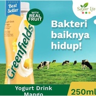 Greenfields Yogurt Drink Mango 250 Ml / Botol Fresh Yoghurt Rasa Buah Mangga Minuman Olahan Susu Ins