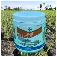 [ORIGINAL] 100g SEGI BAYER RACUN RUMPUT Ethoxysulfuron 12.5% Sama SUNRICE Racun Butir Terserak Air W
