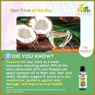 ◊☜ ▩ One Opti Essential Liniment Oil (Herbal Massage Oil)