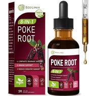 Poke Root Drops untuk Saliran Limfa & Imuniti, Formula Herba 8-dalam-1 untuk sistem limfa dengan Cle