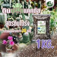 CACTUS SOIL (1Kg) (5Kg) ดินปลูกแคคตัส Porous 🌵กระบองเพชร🌵 ไม้อวบน้ำ (สามารถใช้ได้ตั้งแต่เพาะเมล็ด)