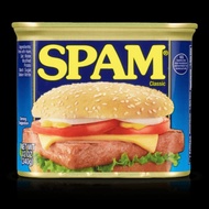 SPAM LUNCHEON MEAT CLASSIC