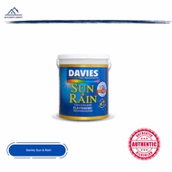 Davies Sun  Rain Elastomeric Paint