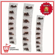 Clove Seeds 1 Pack contains 10 pcs Cloves
