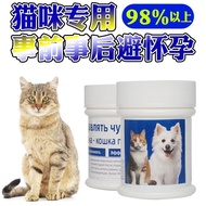Reviews Cats Pregnant Female Cats Long-Lasting After Things Emergency Cats Cats Pregnant Pets Female