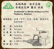 [Hygge Coffee] 瓜地馬拉 拉米尼塔 安堤瓜花神 圓豆（中焙）咖啡豆 半磅/227G   (#台灣直送)