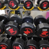 Top Quality Dumbbell Set Iron Bull 2,5-25Kg + Rak Good