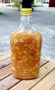 Ginamos Tahong/Fermented Tahong